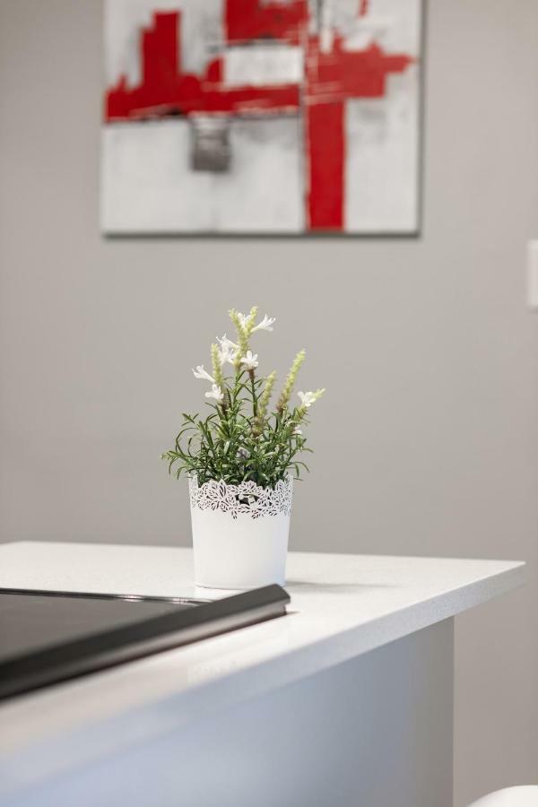 Entire 2 Bedroom Apartment Uptown Waterloo - E1 Buitenkant foto